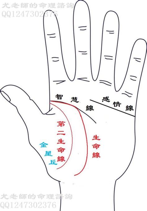 生命線帶眼|手相基礎學（二）生命線